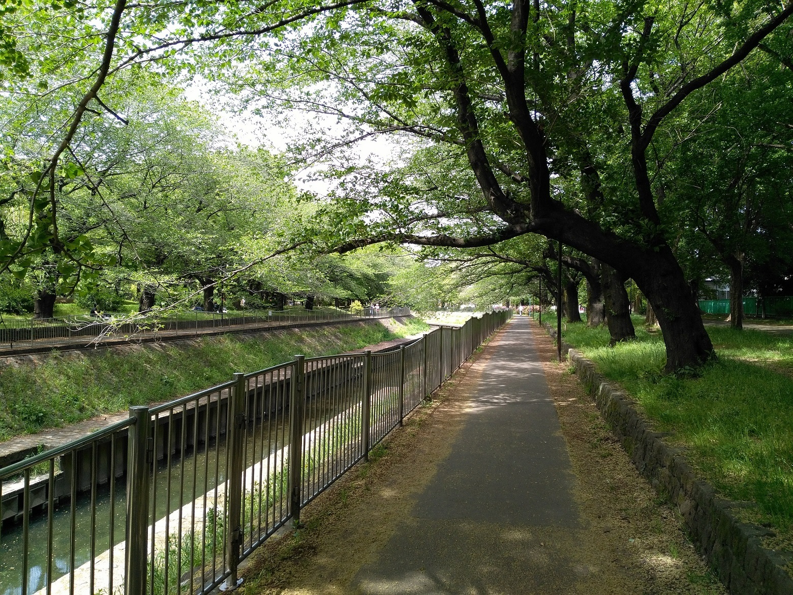 “善福寺川”